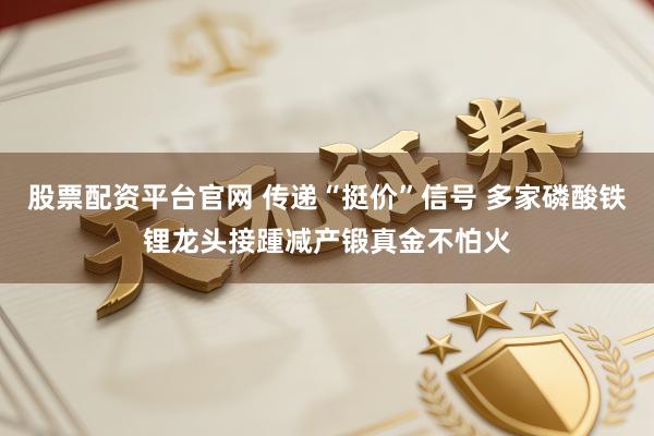 股票配资平台官网 传递“挺价”信号 多家磷酸铁锂龙头接踵减产锻真金不怕火