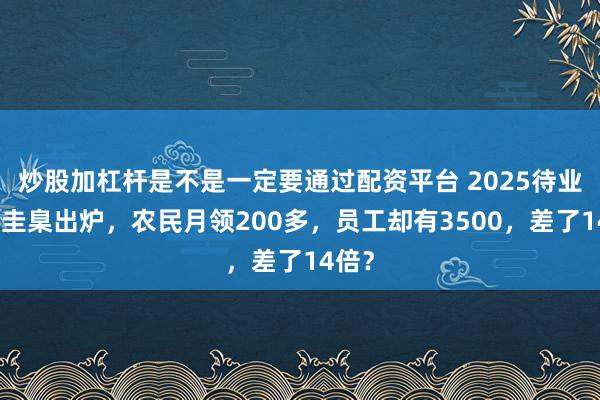 炒股加杠杆是不是一定要通过配资平台 2025待业金新圭臬出炉，农民月领200多，员工却有3500，差了14倍？
