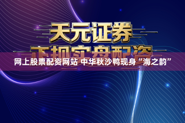 网上股票配资网站 中华秋沙鸭现身“海之韵”