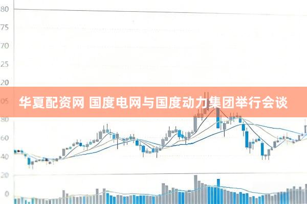 华夏配资网 国度电网与国度动力集团举行会谈