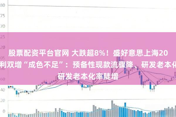 股票配资平台官网 大跌超8%！盛好意思上海2025年谋利双增“成色不足”：预备性现款流骤降、研发老本化率陡增