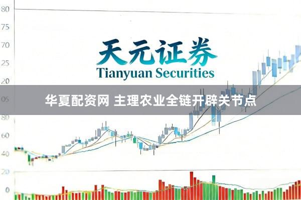 华夏配资网 主理农业全链开辟关节点