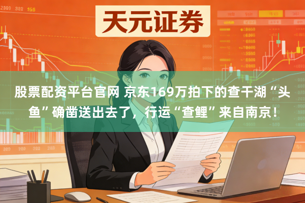 股票配资平台官网 京东169万拍下的查干湖“头鱼”确凿送出去了，行运“查鲤”来自南京！