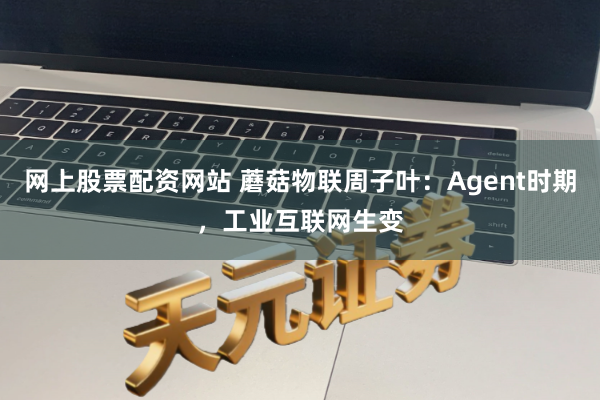 网上股票配资网站 蘑菇物联周子叶：Agent时期，工业互联网生变